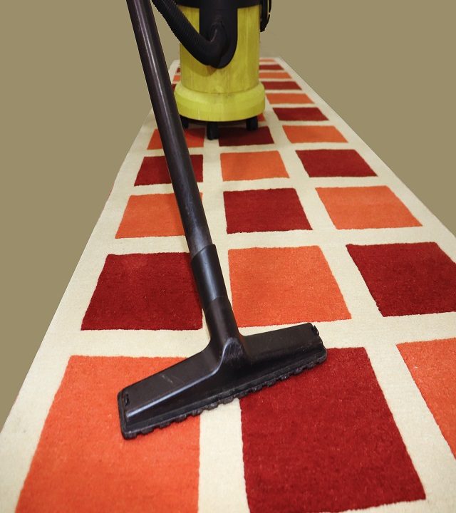 carpet care